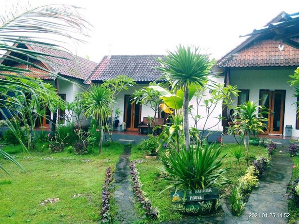 The Banana House