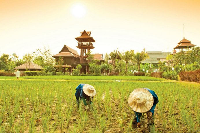 S Loft Sport and Wellbeing Hotel Chiang Mai