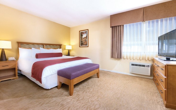 Dolphin's Cove Resort