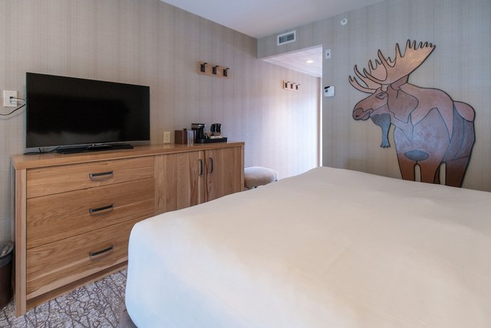 Moose Hotel and Suites