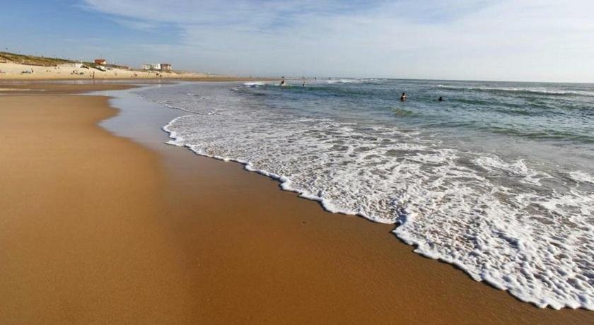 Appartement Biscarrosse Plage 2 pieces 4 personnes - FR-1-319-185