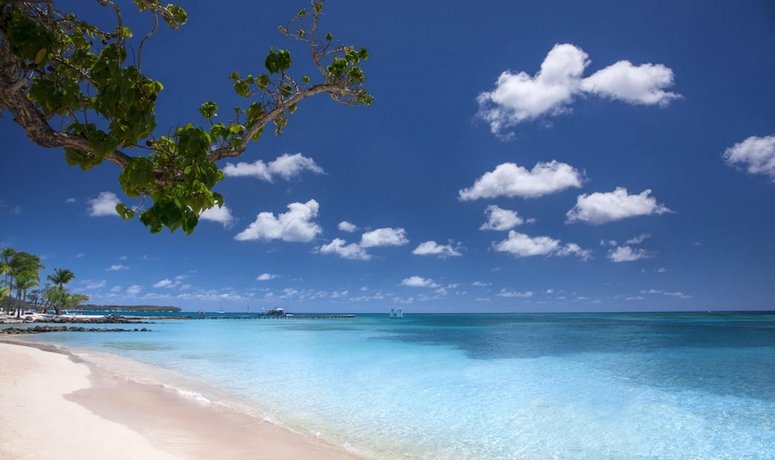Apartment With one Bedroom in Sainte-anne With Wonderful sea View Pool Access Furnished Balcony