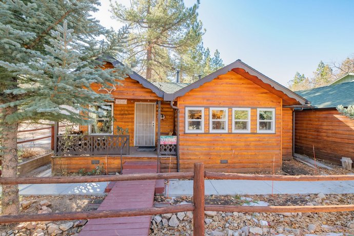 Pine Forest Cabin