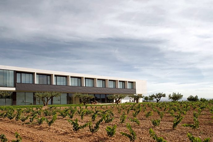 Hotel-Bodega Finca de Los Arandinos