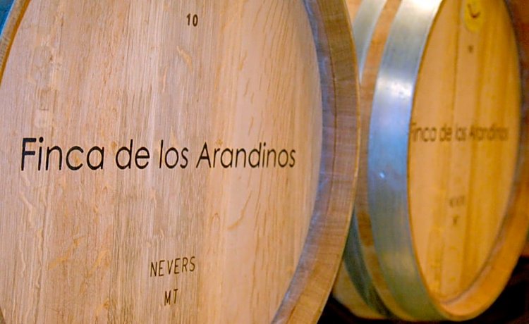Hotel-Bodega Finca de Los Arandinos