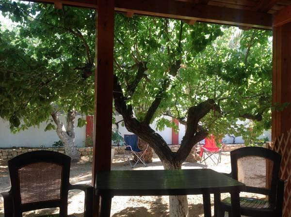 Hotel Petras Beach