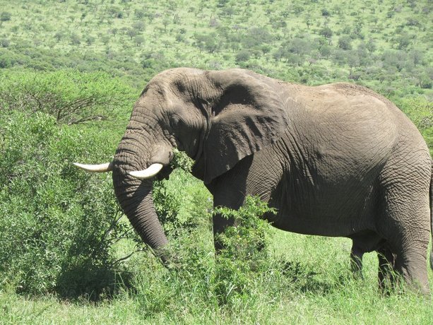 Bhangazi Lodge Bed & Breakfast