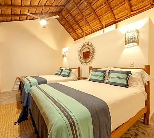 Mimosa Tulum
