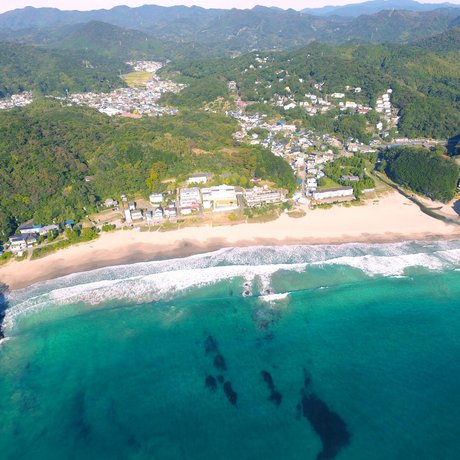 Wafu Pension Tamure