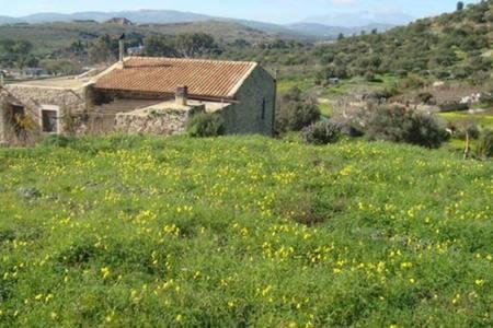 House in Organic Orgon farm