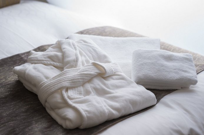 Hotel Alza Kyoto