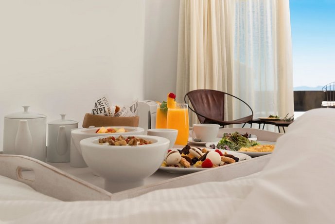 Andronis Concept Wellness Resort