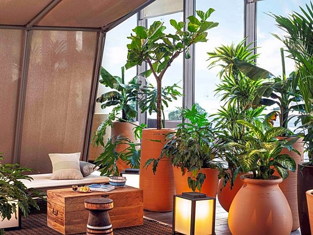 Novotel Paris Pte De Versailles