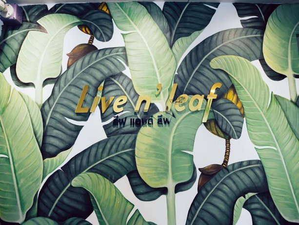 Live n' leaf lifestyle homestay