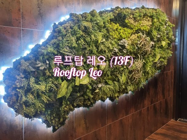 Hotel Leo Jeju
