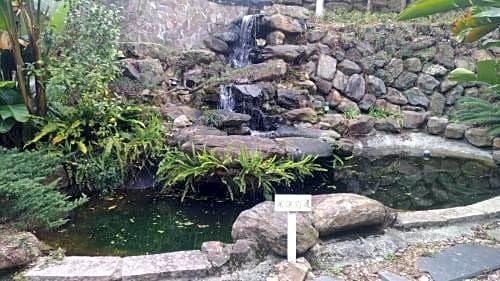 I-think Resort