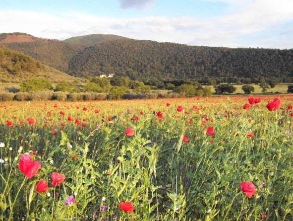 Agriturismo Il Casalino