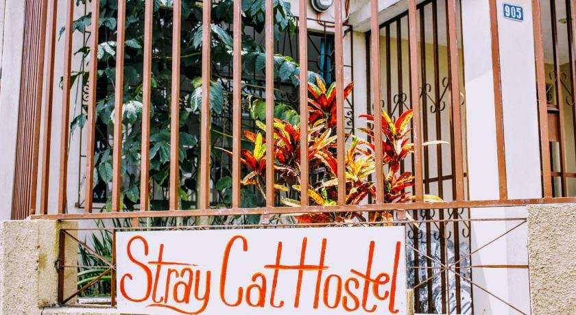 Stray Cat Hostel San Jose