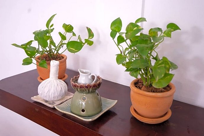 Amaravati Resort