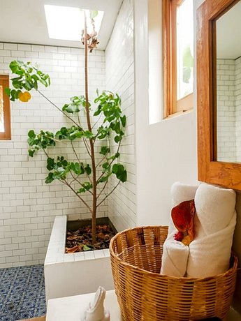 Carpe Diem Casitas & Villas Mazunte