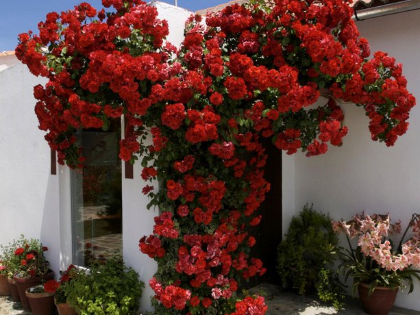 Rural Cottage in Ronda with Swimming Pool