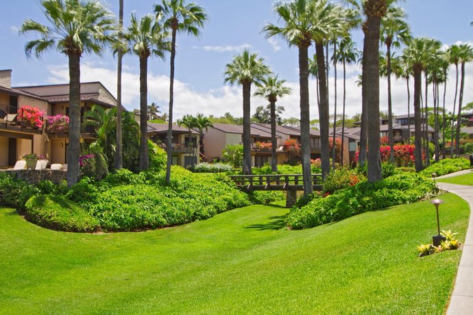 Wailea Elua 1305