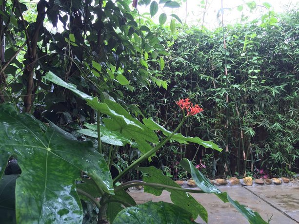 Vu homestay
