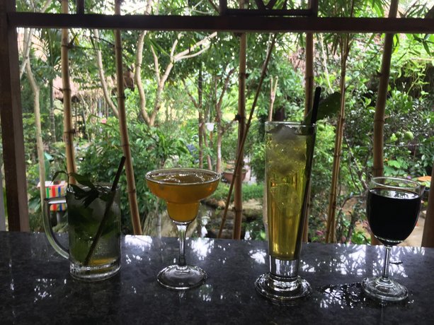 Vu homestay