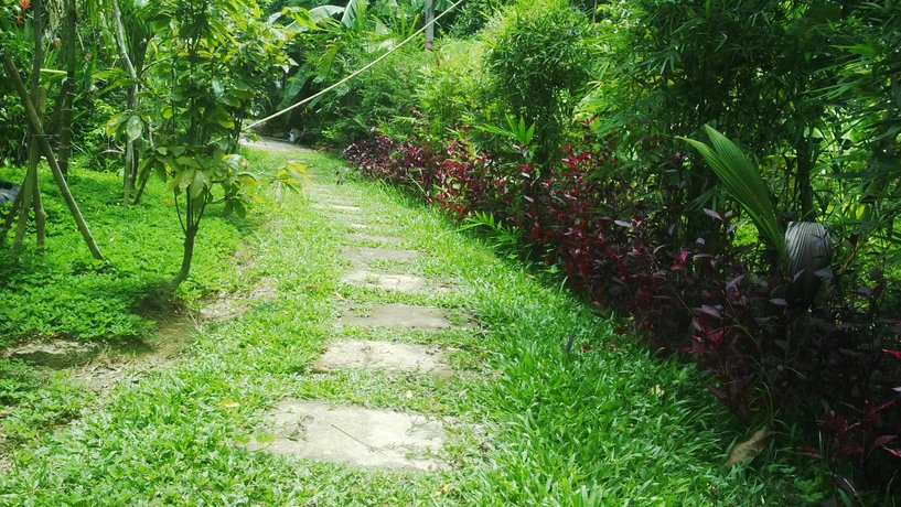 Vu homestay