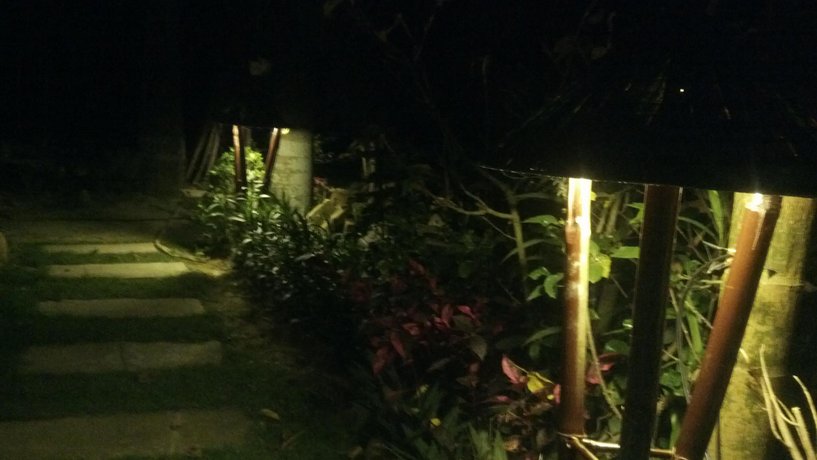 Vu homestay