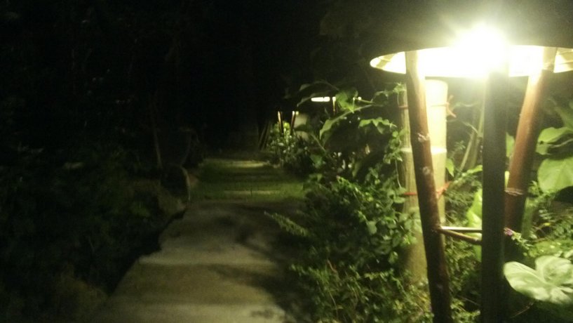 Vu homestay