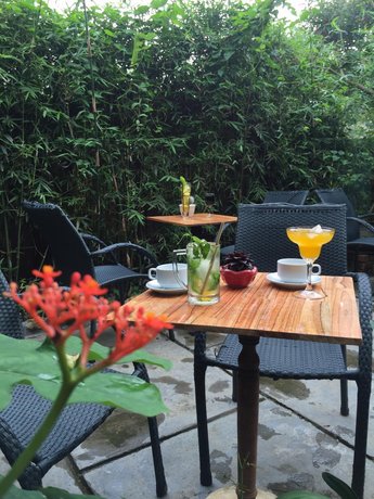 Vu homestay