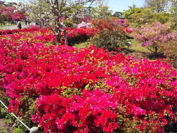 Tatebayashi Grand Hotel