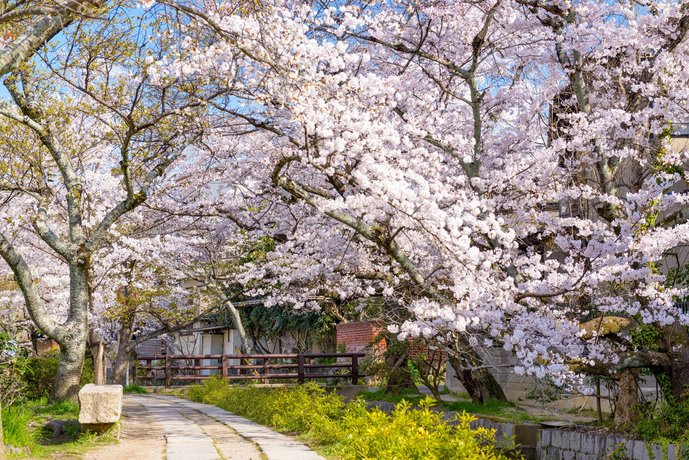 Rinn Shirakawa South