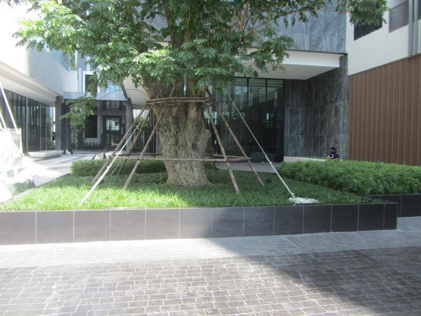 The Base condo central Pattaya by Pattaya Lettings