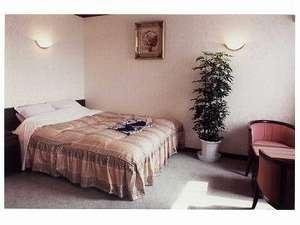 Business Hotel Del Sol