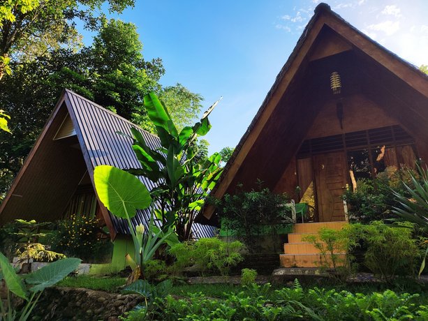 Green Forest Tangkahan