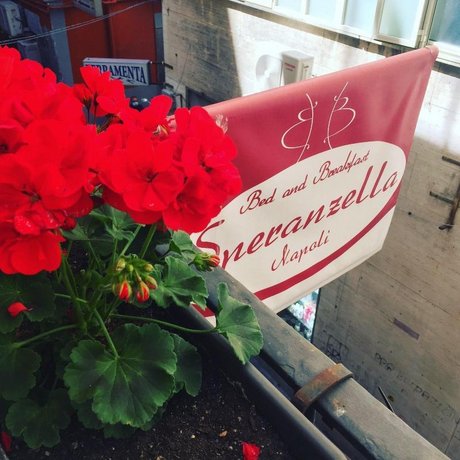 Bed and Breakfast Speranzella