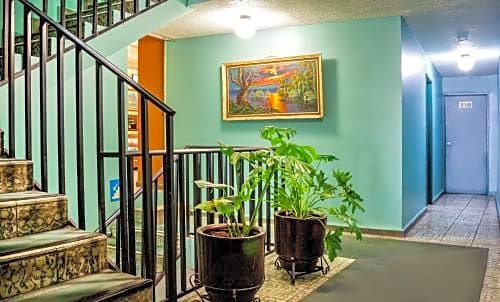 Hotel Emily Leon