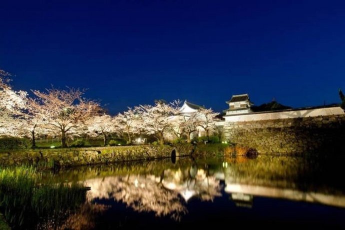 Daiichi Yoshizuru / Vacation STAY 7258