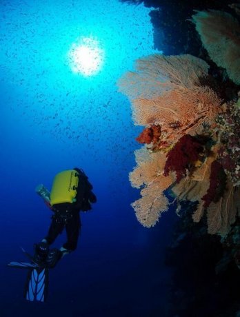 The Breakers Diving and Surfing Lodge Soma Bay