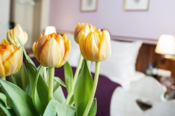 Hotel Elch