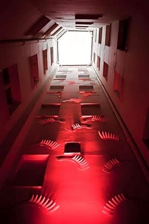 Room007 Select Sol