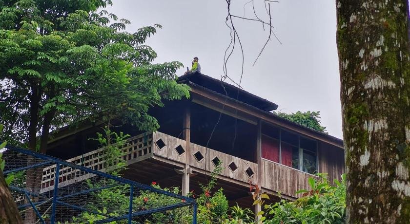 Bukit Lawang Hill Resort