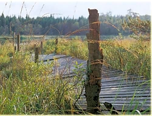 Hensbacka Herrgard
