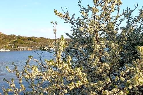 Tofta Herrgard