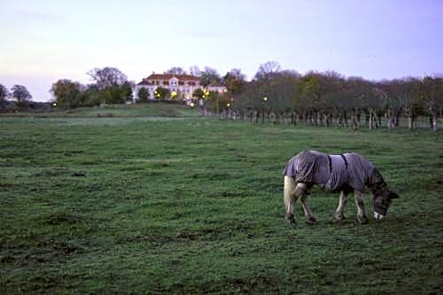 Tofta Herrgard