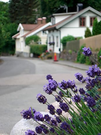 Nordiska Folkhogskolan Bed and Breakfast