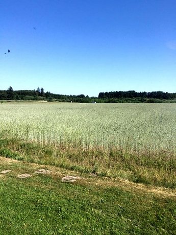 Blokhus-Hune Vandrerhjem