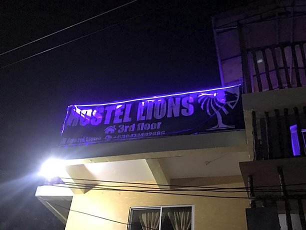 Hostel Lions